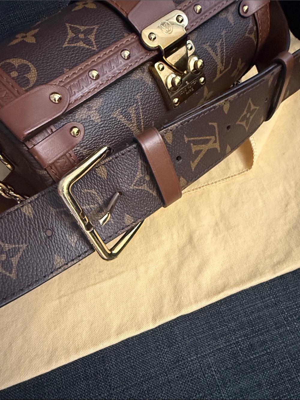 Louis Vuitton Papillon Trunk - Picture 4 of 6